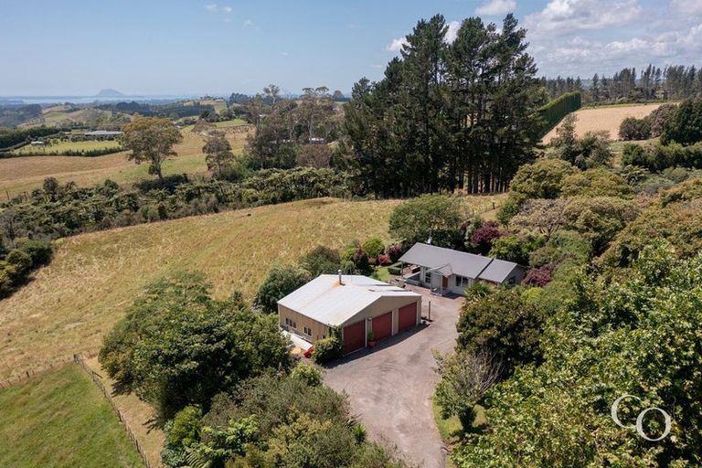 Photo of property in 499 Wainui Road South, Whakamarama, Tauranga, 3180