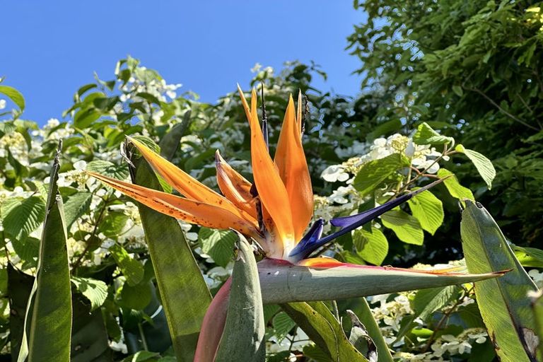 Photo of property in 641 Thornton Road, Thornton, Whakatane, 3194