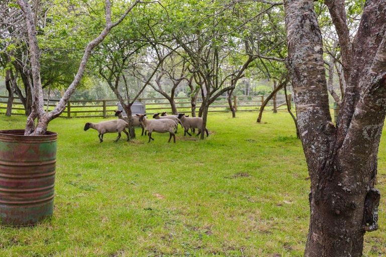 Photo of property in 237 Taihoa Road South, Matamata, 3473