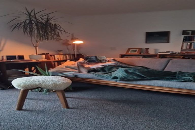 Photo of property in 164b Raroa Road, Aro Valley, Wellington, 6012