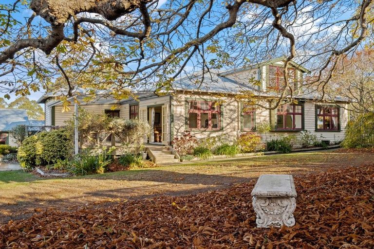 Photo of property in 24 Mount Street, Waikouaiti, 9510