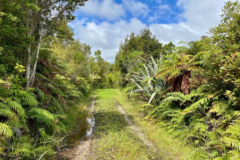Photo of property in 74 Wangapeka Road, Little Wanganui, Karamea, 7893