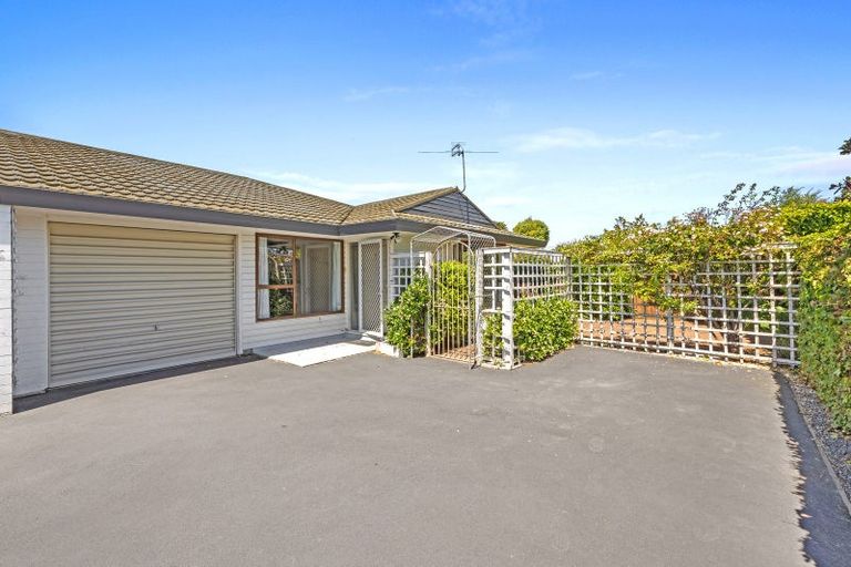 Photo of property in 17b Norfolk Street, St Albans, Christchurch, 8052