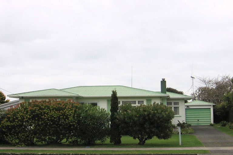 Photo of property in 14 Carlisle Street, Levin, 5510