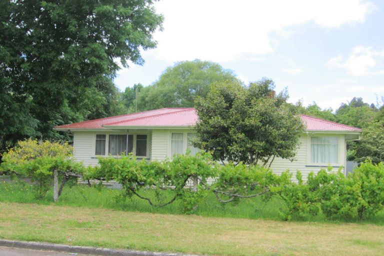 Photo of property in 11 Leese Street, Taumarunui, 3920