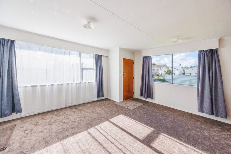 Photo of property in 101 Shamrock Street, Takaro, Palmerston North, 4412