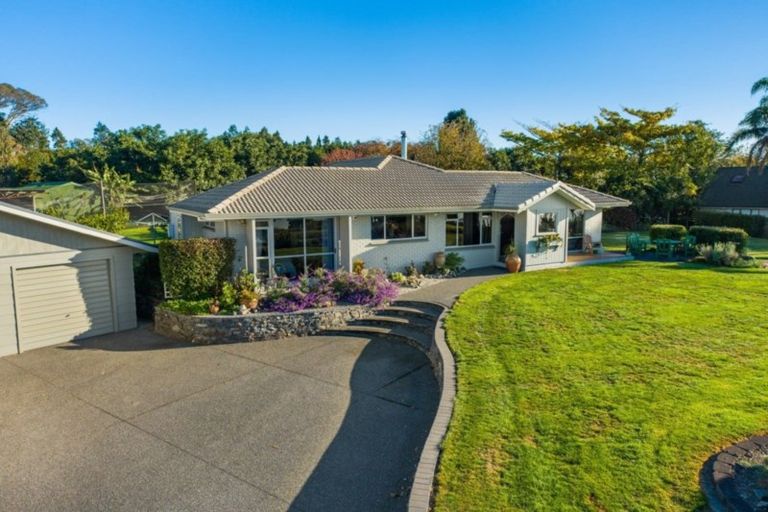 Photo of property in 293 Plummers Point Road, Whakamarama, Tauranga, 3172
