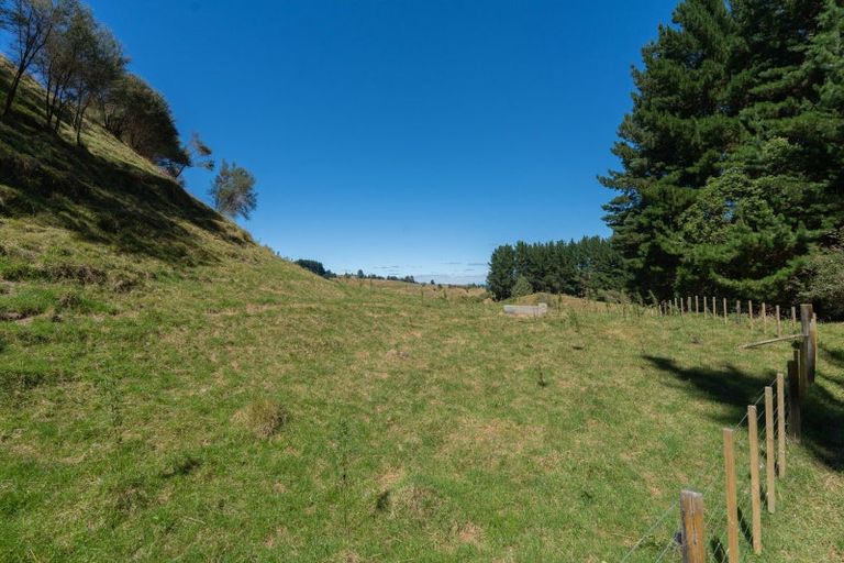Photo of property in 55 Millers Road, Apiti, Feilding, 4777