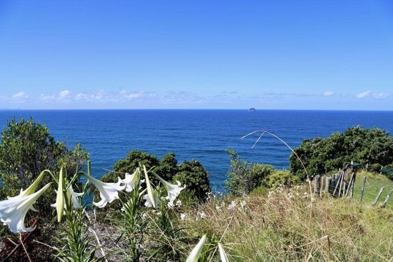 Photo of property in 77 Radar Road, Hot Water Beach, Whitianga, 3591