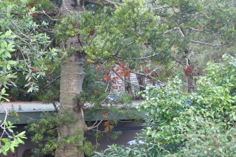 Photo of property in 357 Titirangi Road, Titirangi, Auckland, 0604