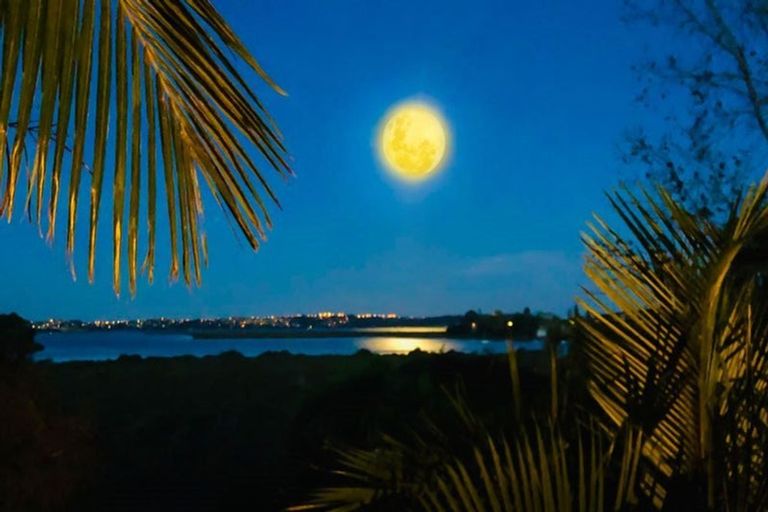 Photo of property in 35 Pipitea Place, Massey, Auckland, 0614