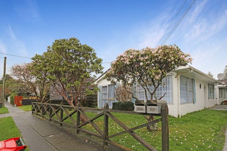 Photo of property in 20 Marina Grove, Hutt Central, Lower Hutt, 5010