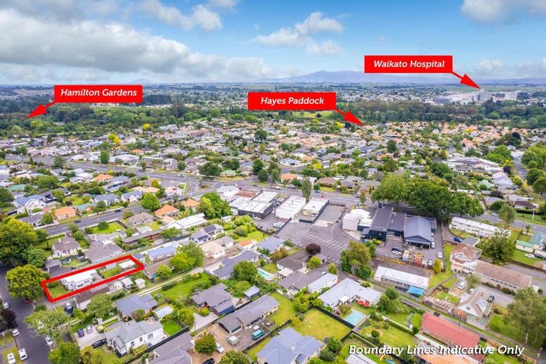 Photo of property in 31 Firth Street, Hamilton East, Hamilton, 3216