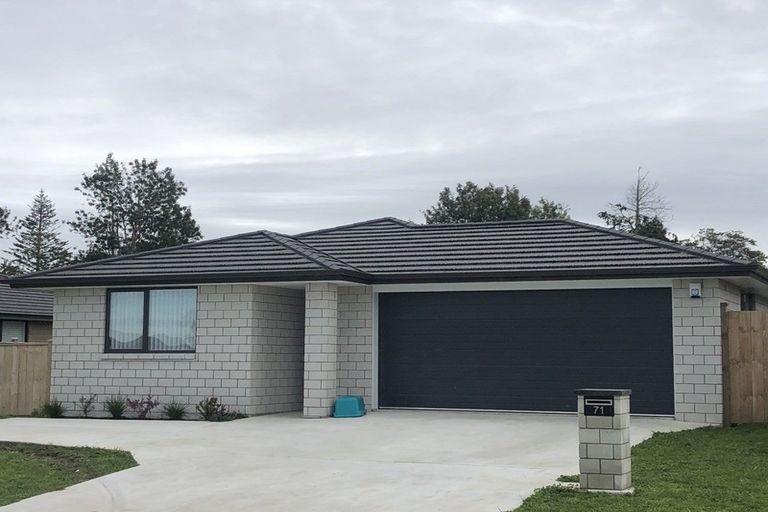 Photo of property in 71 Murray Ward Drive, Te Kauwhata, 3710