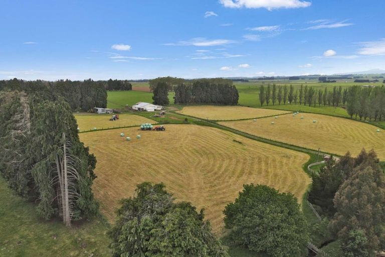 Photo of property in 329 Raetihi Ohakune Road, Raetihi, 4691