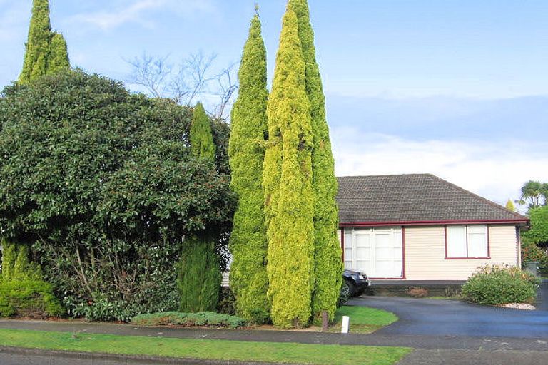 Photo of property in 116 Limbrick Street, Terrace End, Palmerston North, 4410
