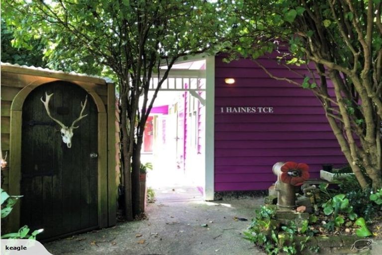 Photo of property in 1 Haines Terrace, Aro Valley, Wellington, 6021