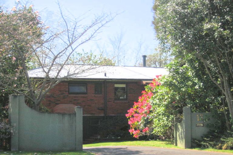 Photo of property in 17 Goodwin Avenue, Springfield, Rotorua, 3015
