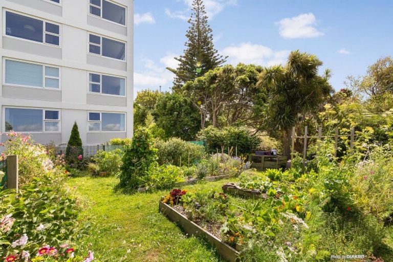 Photo of property in 83 Washington Avenue, Brooklyn, Wellington, 6021