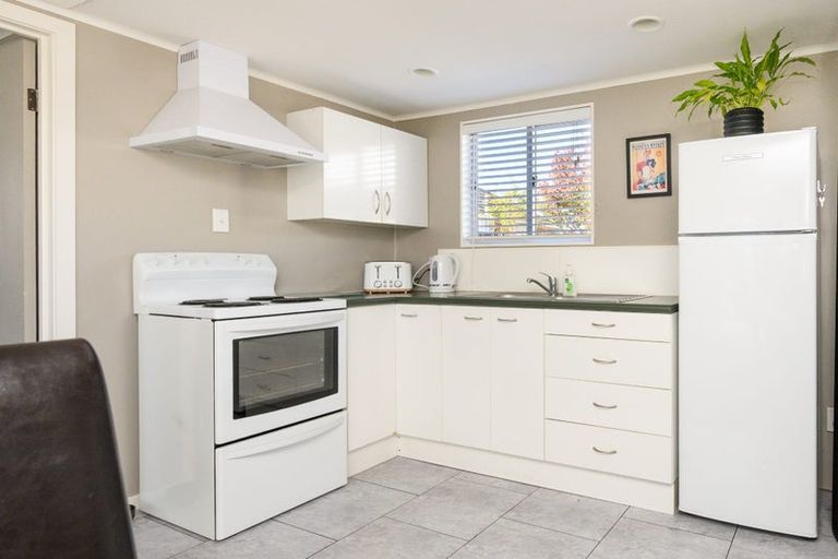 Photo of property in 101a Limbrick Street, Terrace End, Palmerston North, 4410