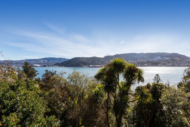 Photo of property in 14 Irvine Road, The Cove, Dunedin, 9077