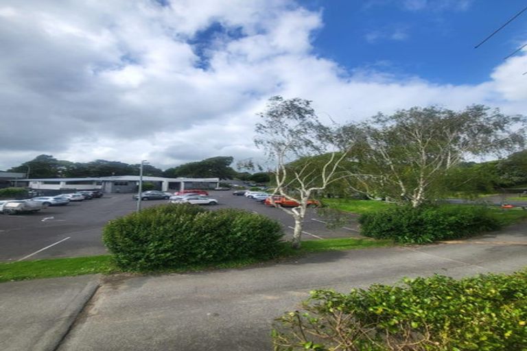 Photo of property in 17 Station Road, Pukekohe, 2120