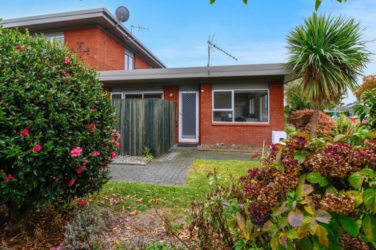 Photo of property in 19 Grey Street, Glenholme, Rotorua, 3010