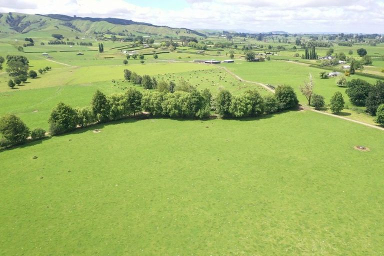 Photo of property in 231 Grice Road, Rotoorangi, Cambridge, 3495