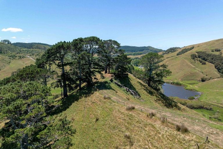 Photo of property in 273 Wentworth Valley Road, Whangamata, 3691