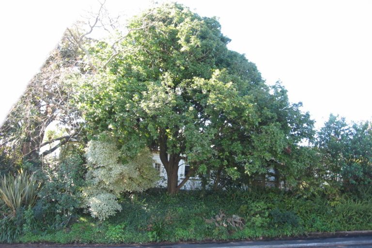 Photo of property in 26 Oakley Avenue, Claudelands, Hamilton, 3214