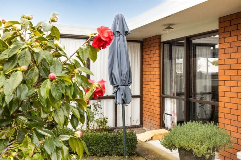 Photo of property in 48b Mclauchlan Street, Springlands, Blenheim, 7201