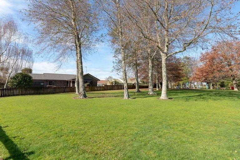 Photo of property in 81 Endeavour Avenue, Flagstaff, Hamilton, 3210