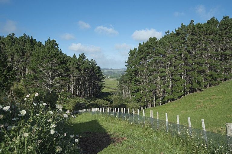 Photo of property in 132b Dormer Road, Waitoki, Helensville, 0875