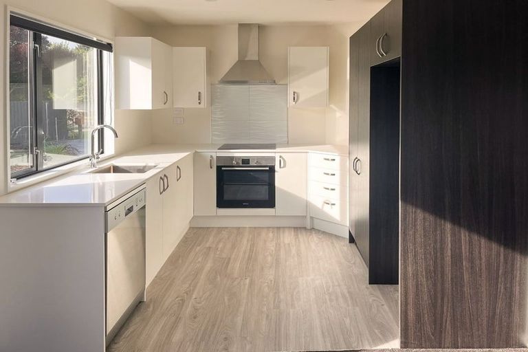 Photo of property in 1/9 Raupo Street, Bromley, Christchurch, 8062