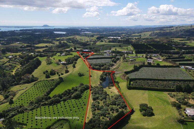 Photo of property in 342 Youngson Road, Whakamarama, Tauranga, 3179