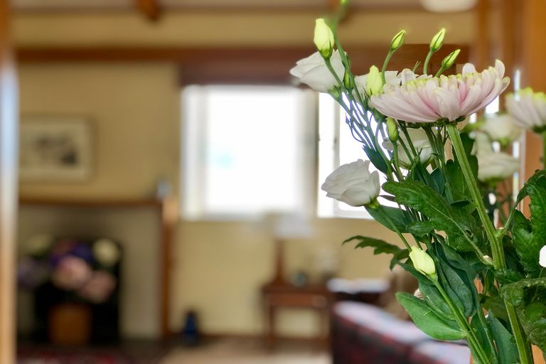 Photo of property in 290 Douglas Avenue, Te Awamutu, 3800