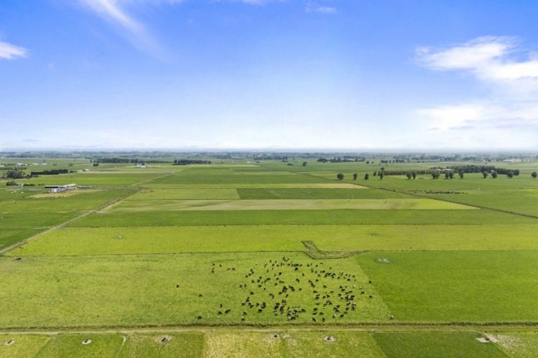 Photo of property in 145 Campbells Road, Pine Hill, Dunedin, 9010