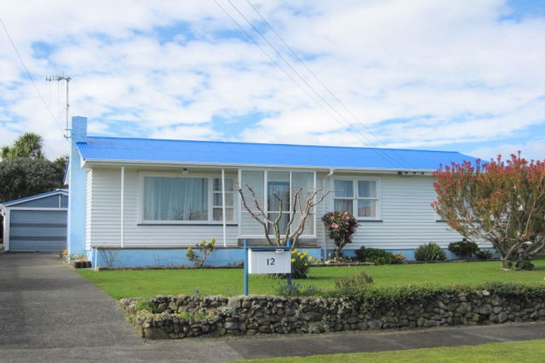 Photo of property in 12 Mersey Street, Levin, 5510