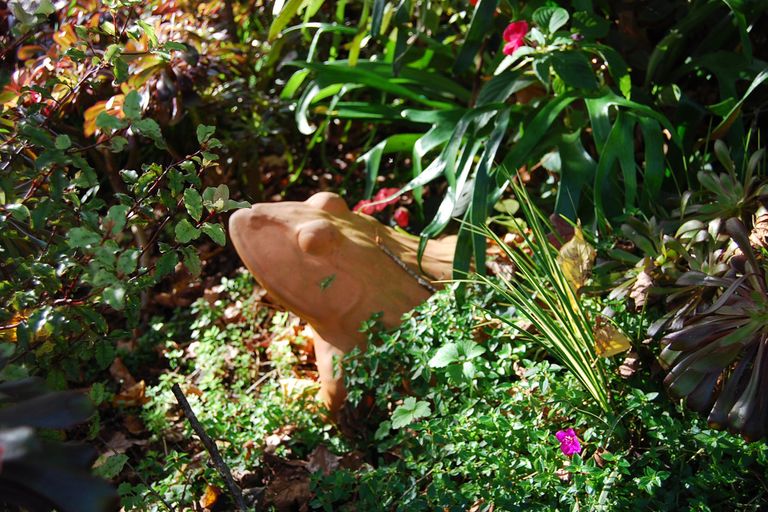 Photo of property in 566 School Road, Tomarata, Wellsford, 0974