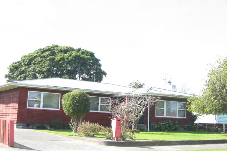 Photo of property in 25 Brian Avenue, Wairoa, 4108