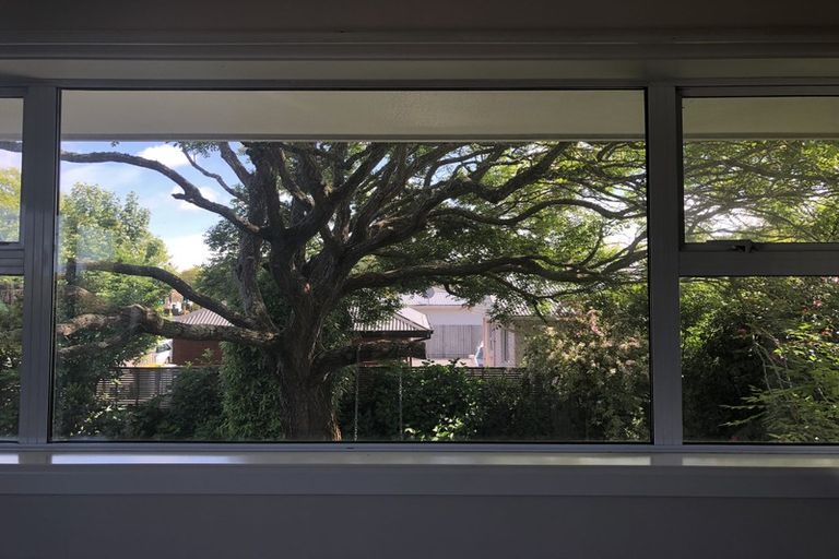 Photo of property in 124 Waimairi Road, Ilam, Christchurch, 8041