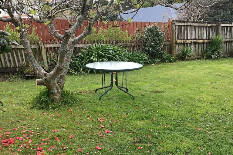 Photo of property in 55 Martin Road, Waihi, 3610