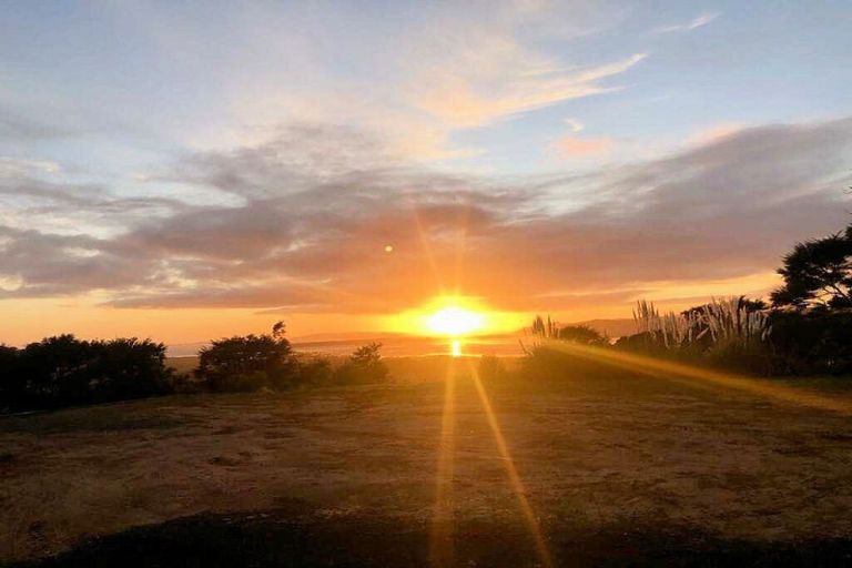 Photo of property in 1216 Whangapoua Sh25 Road, Te Rerenga, Coromandel, 3582