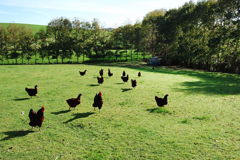 Photo of property in 566 School Road, Tomarata, Wellsford, 0974