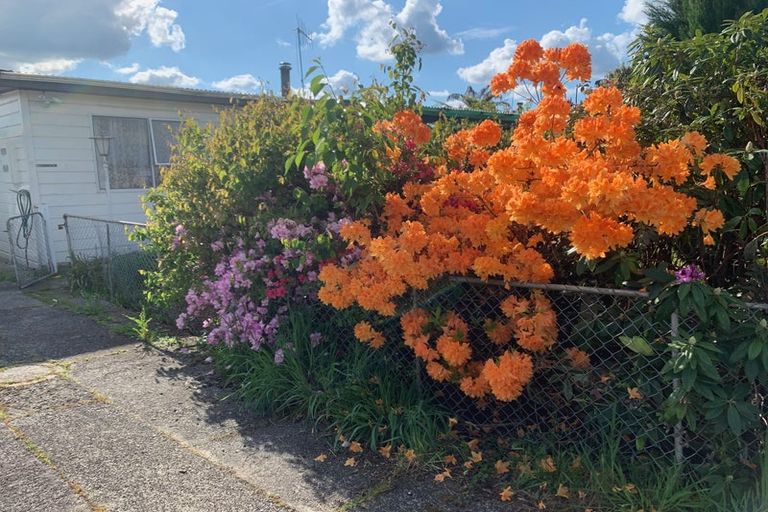 Photo of property in 5 Rata Street, Mangakino, 3421