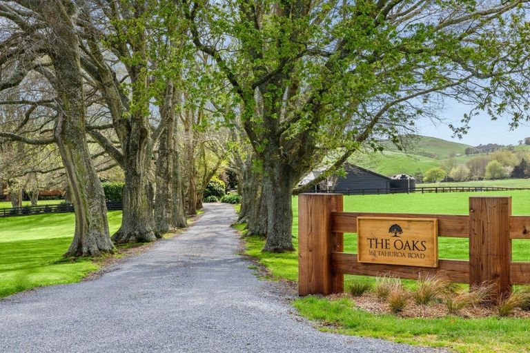 Photo of property in 161 Tahuroa Road, Tauwhare, Morrinsville, 3371
