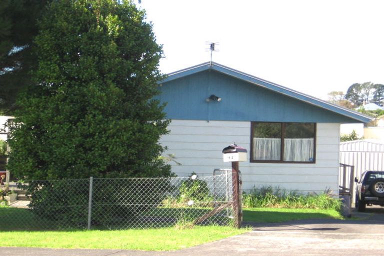 Photo of property in 94 Chislehurst Street, Henderson, Auckland, 0612