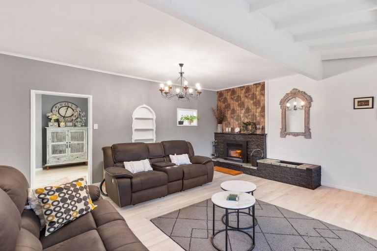 Photo of property in 67 Macarthur Street, Levin, 5510