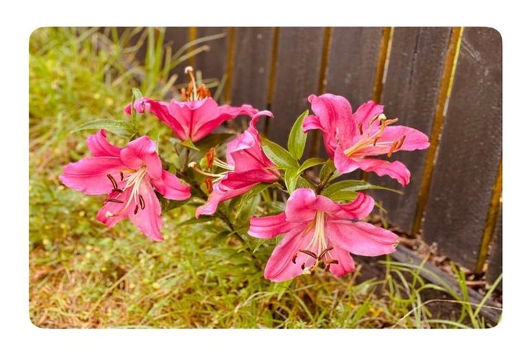 Photo of property in 34 Hawea Street, Mount Maunganui, 3116