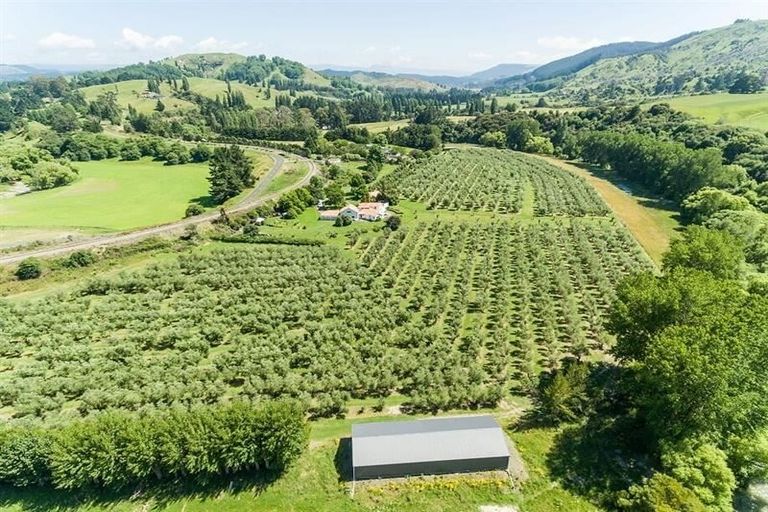 Photo of property in 92 Ellis Wallace Road, Eskdale, Napier, 4182